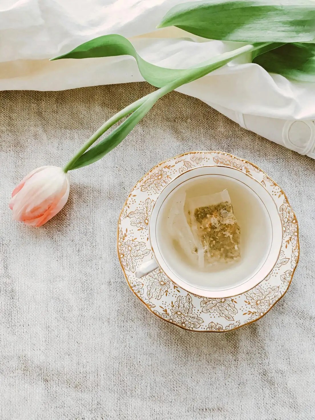 cymbidium goeringii with tea set