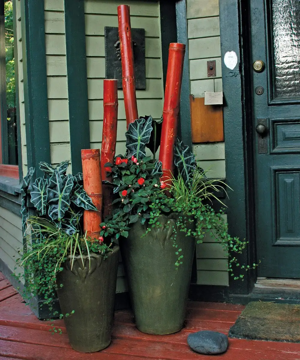 guzmania pair entryway red planters