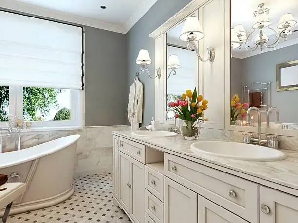 Color That Lasts for Months: Styling Bromeliads in Modern Homes without Fading the Bracts