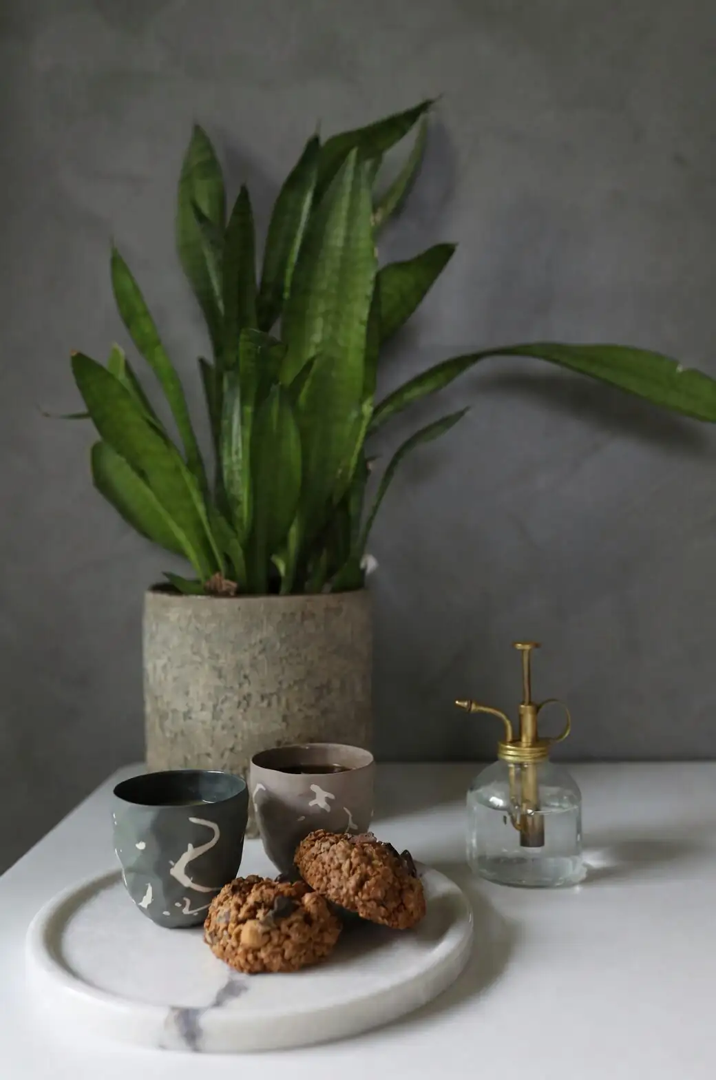 mini phalaenopsis transparent pot matte ceramic