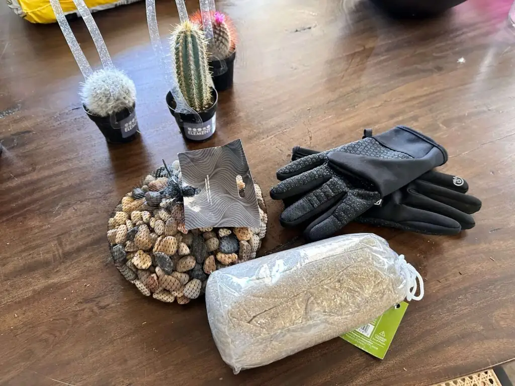 sandcastle cactus photo setup with coin