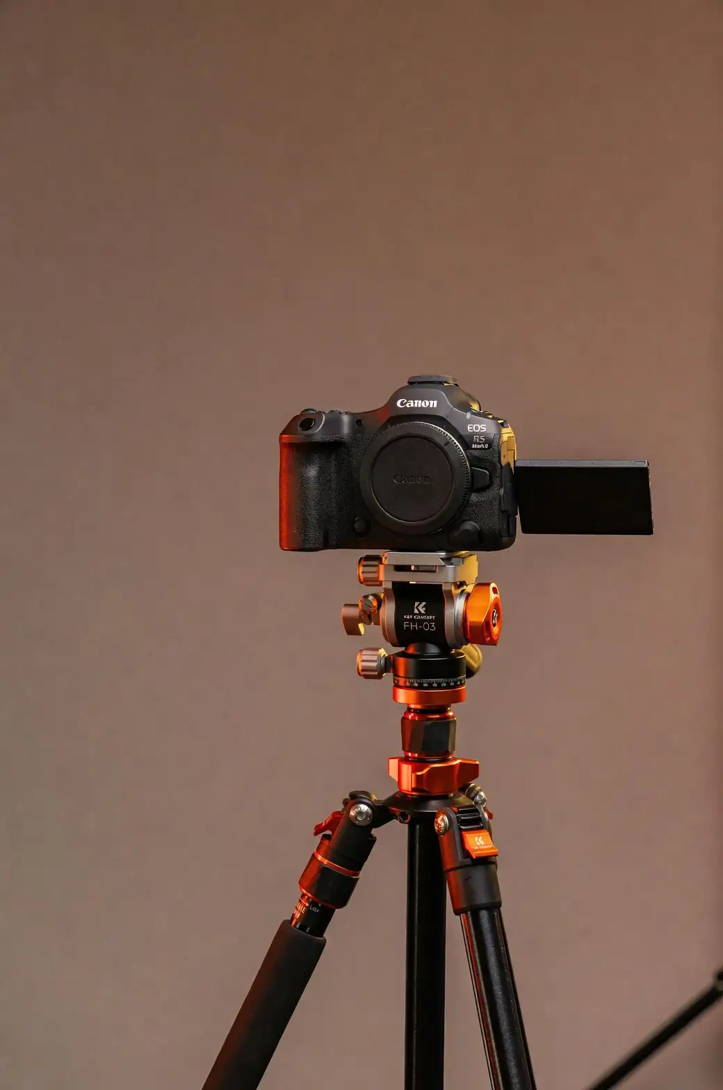 stenocactus time lapse tripod setup