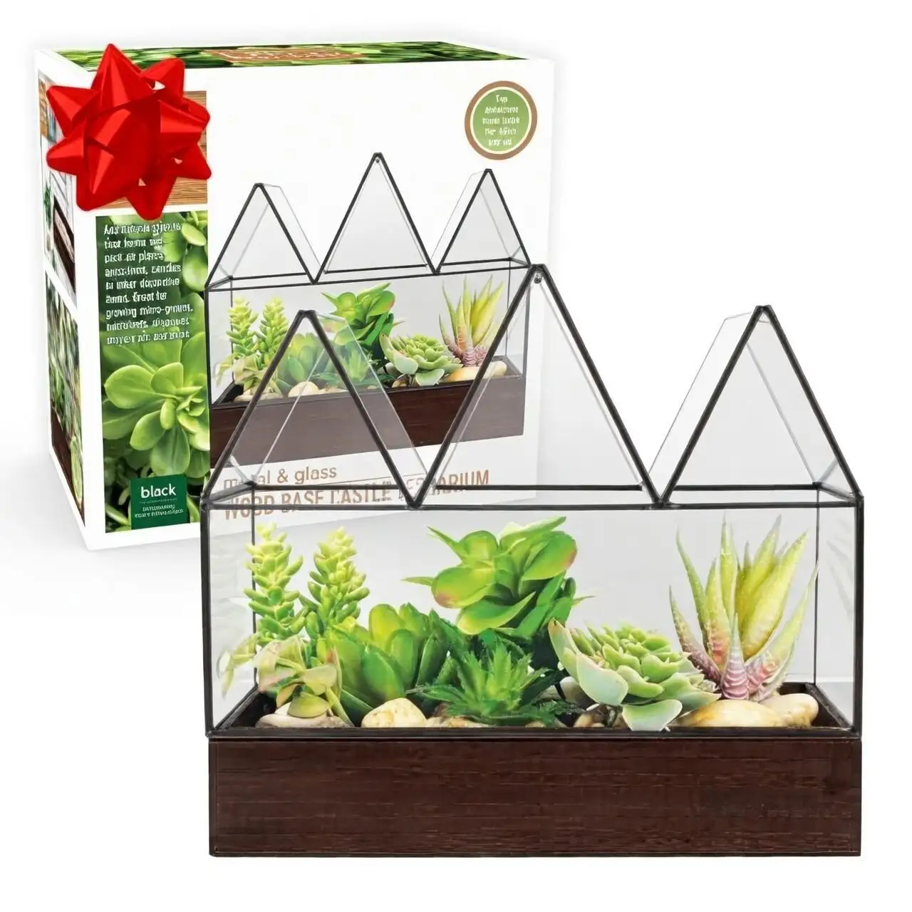 sand castle cactus glass cabinet display