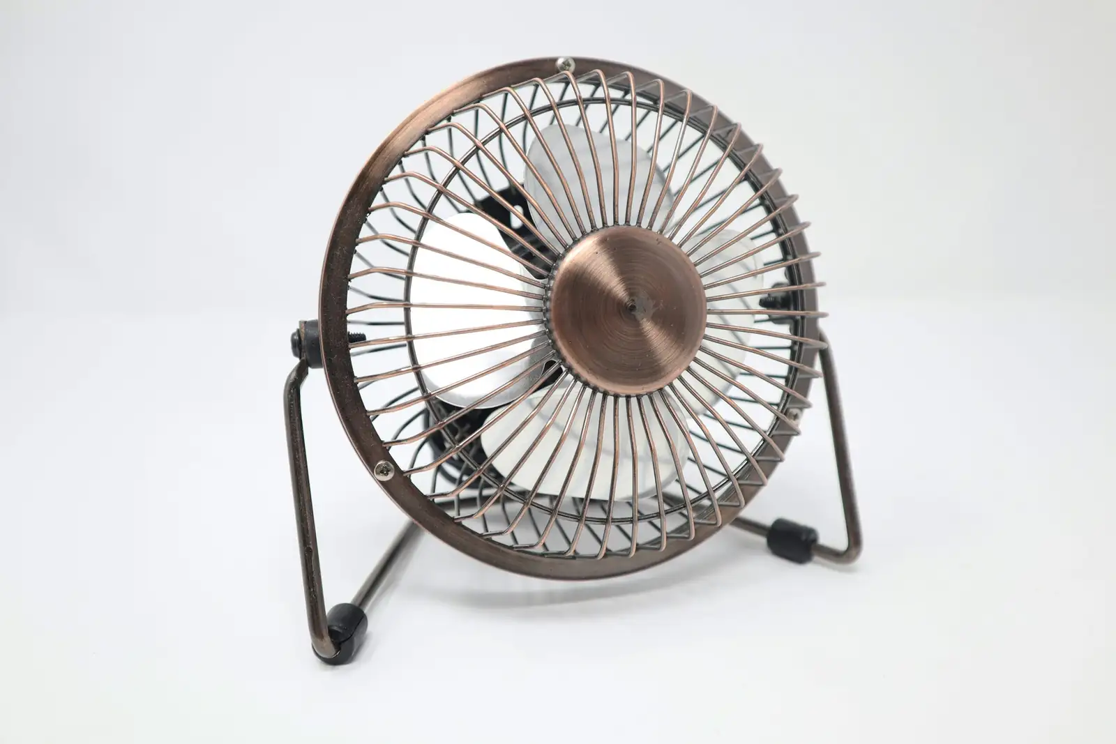 hypoestes pebble tray fan
