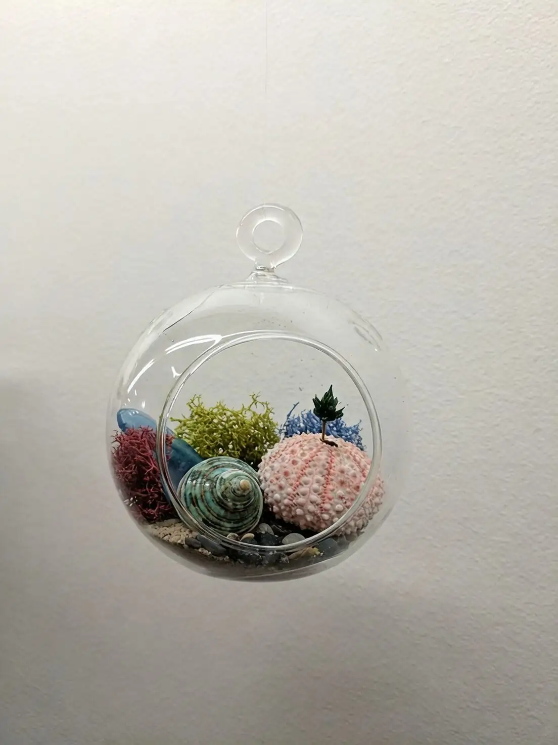 polka dot plant terrarium glass jar