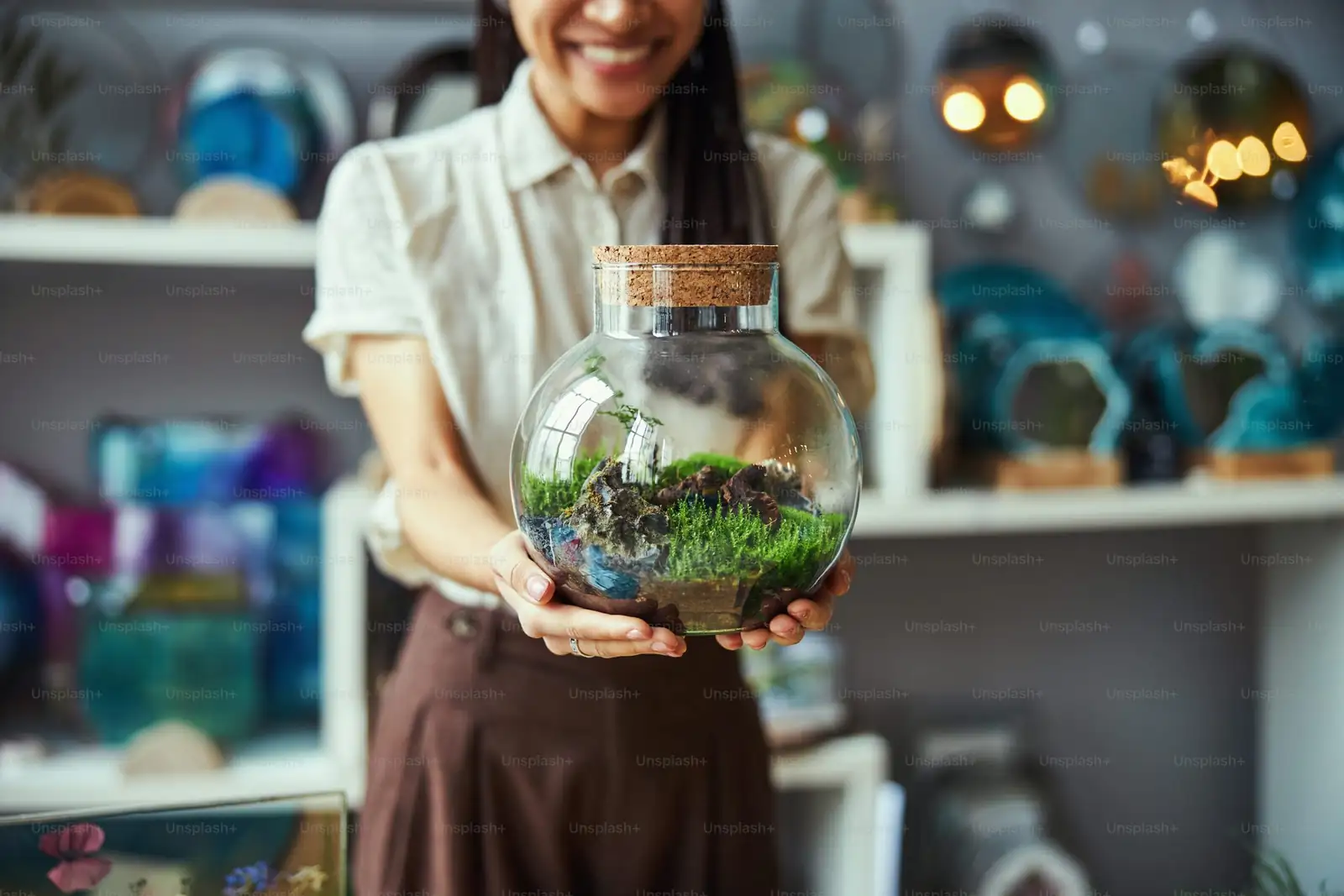 Terrarium Candy: Build a Low-Maintenance Glass Garden Where Hypoestes Steals the Spotlight
