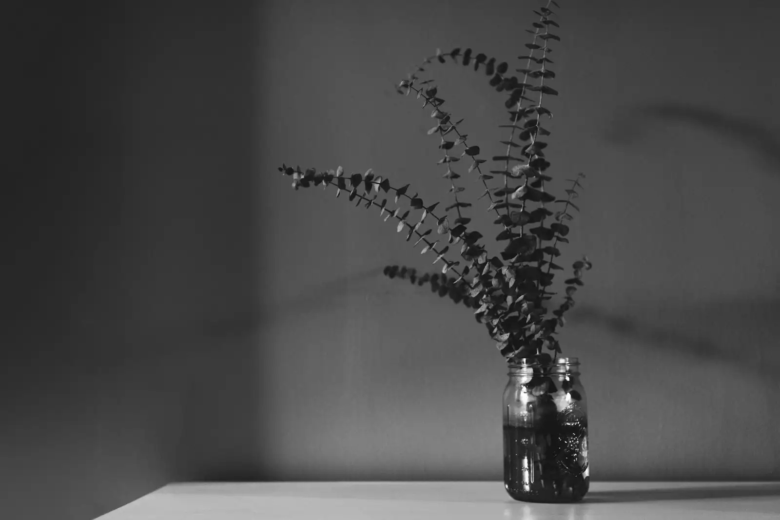polka dot plant water propagation jar