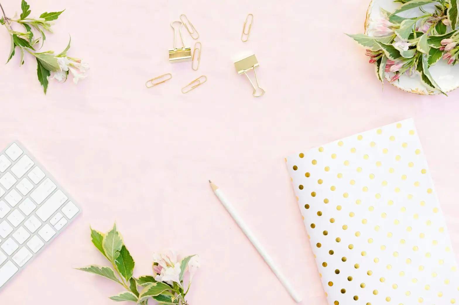 polka dot plant desk setup pink