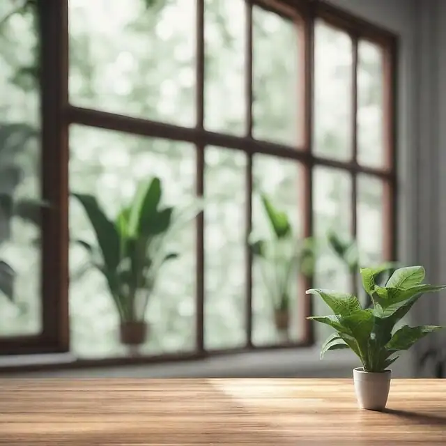 From Prayerful Posture to Feng Shui Calm: The Flower Language of the Rattlesnake Plant—and Where It Came From