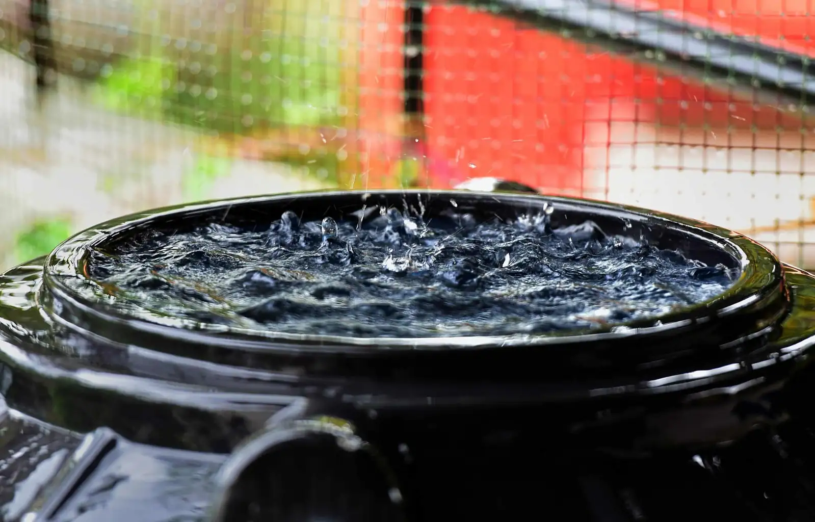 rainwater collection bucket balcony