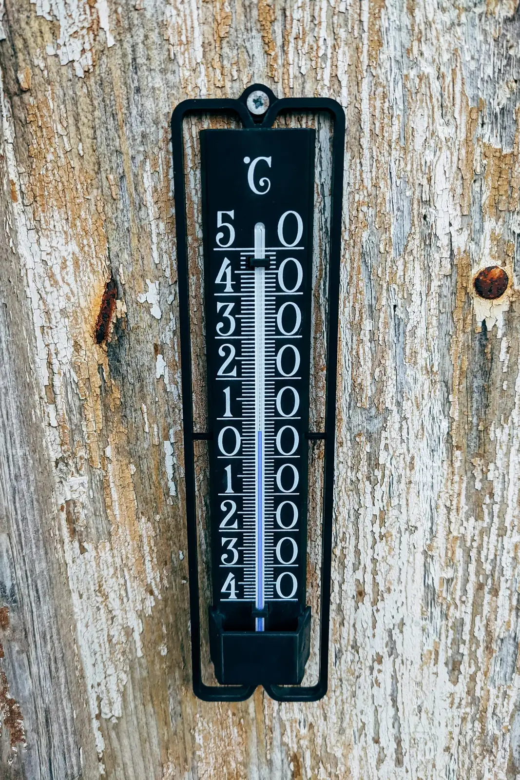 campfire crassula window thermometer