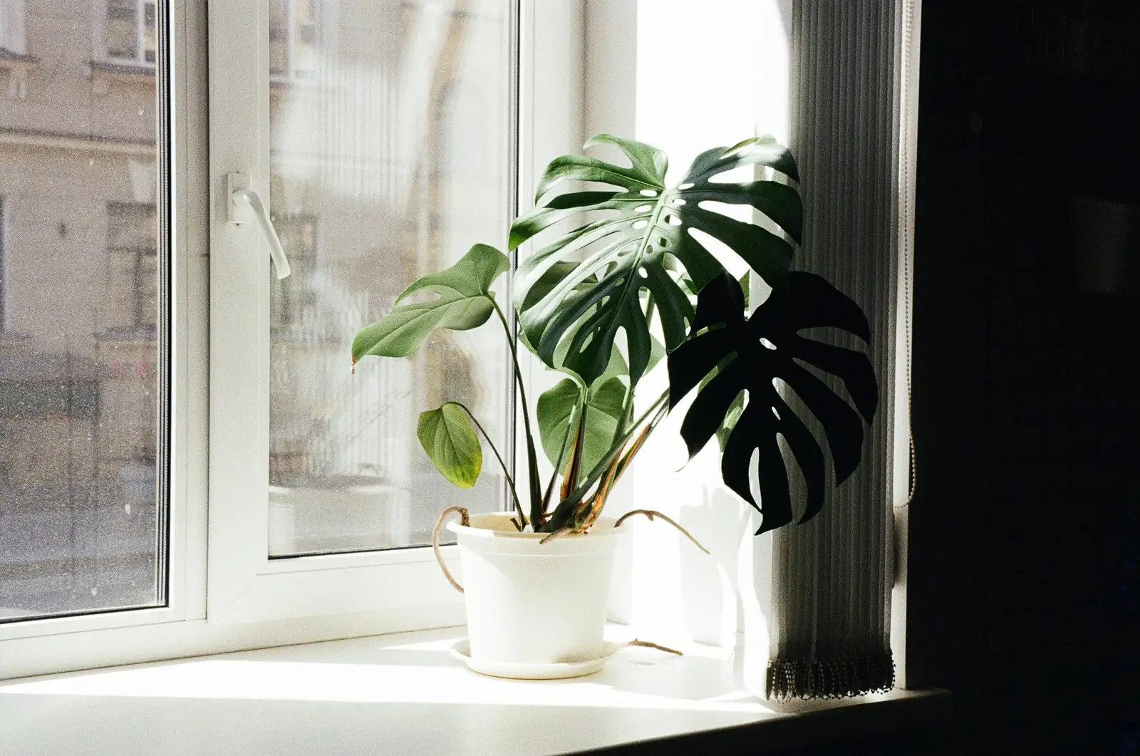 A Tiny Fireplace for Your Windowsill: Style ‘Campfire’ with Pots, Light, and Shadow