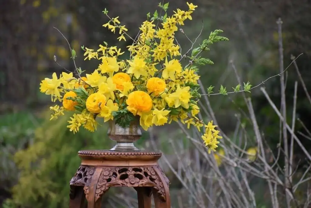 anemone with daffodils mixed arrangement