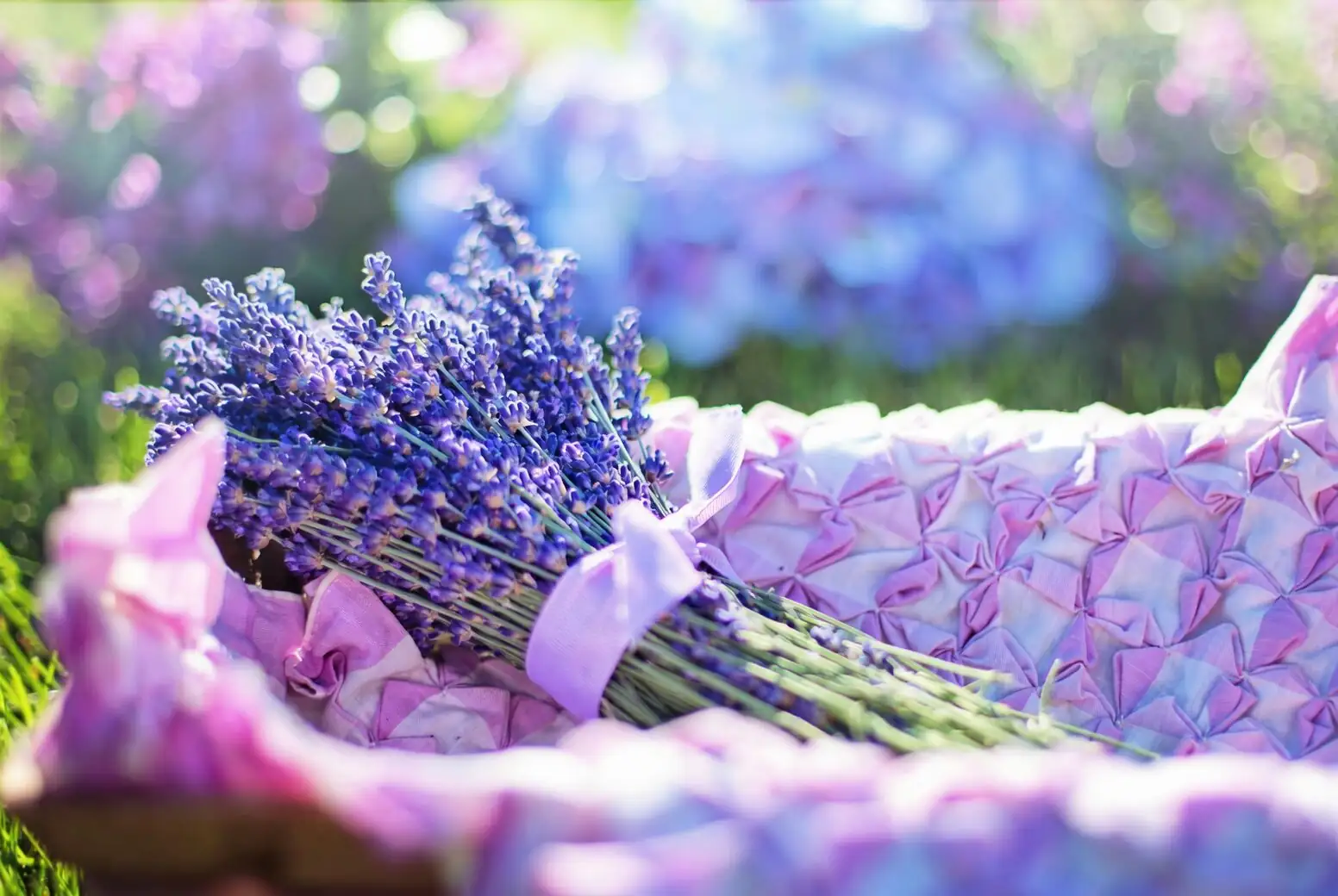 From Spikes to Sachets: Harvesting and Drying English Lavender for Year-Round Aroma