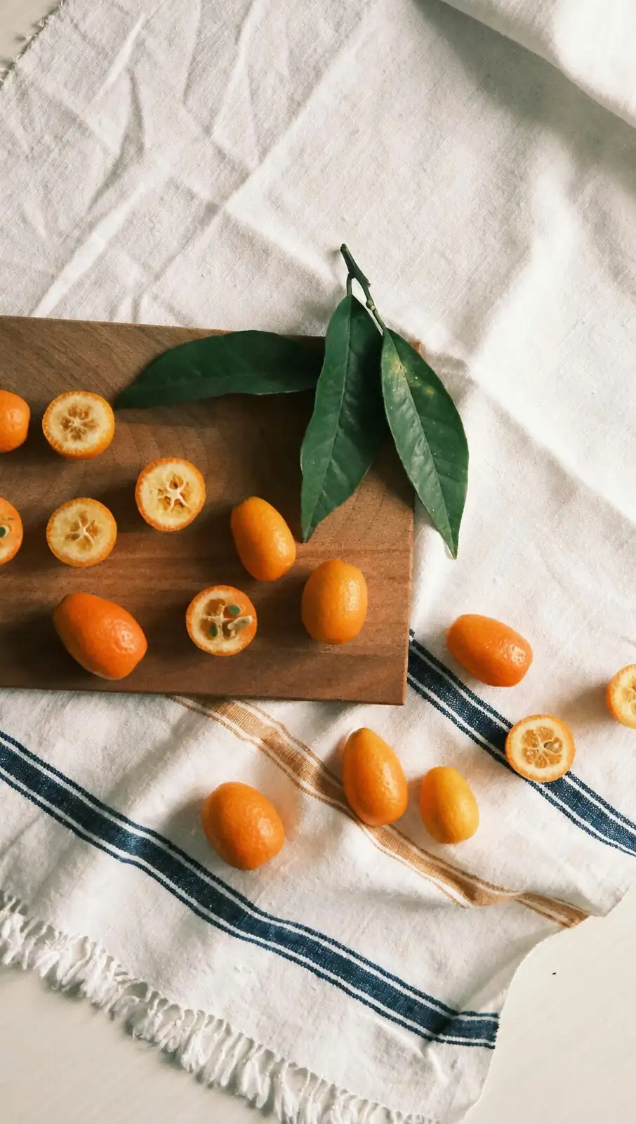kumquat pruning new shoots hand