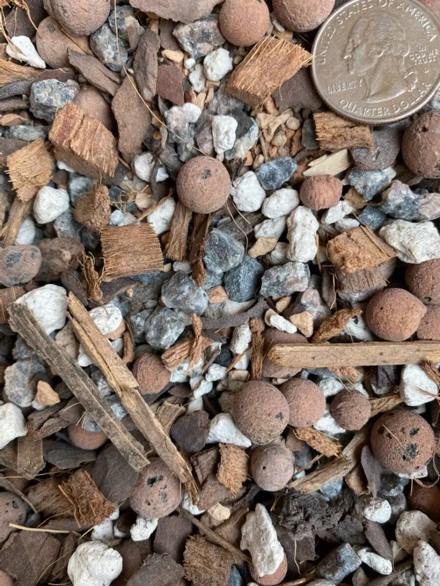 golden barrel cactus gritty soil mix
