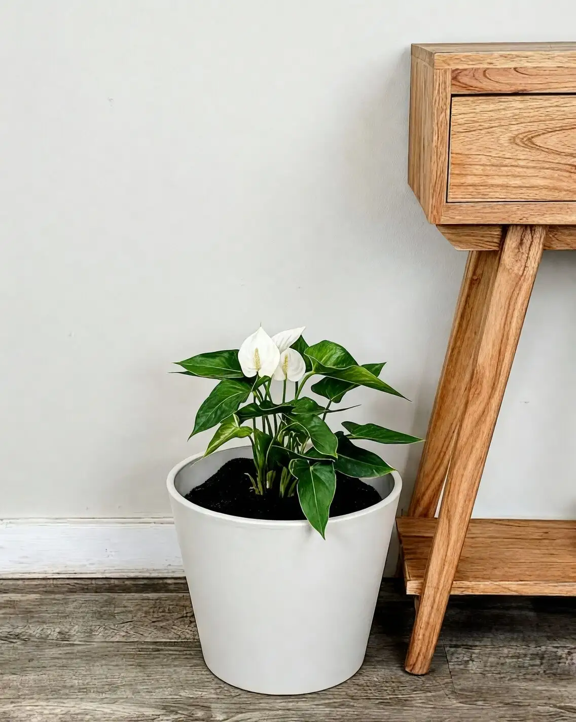 white anthurium bathroom shelf