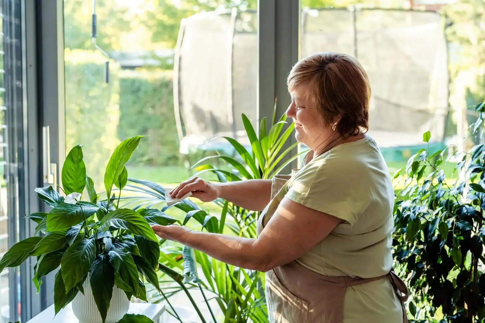 anthurium leaf cleaning cloth