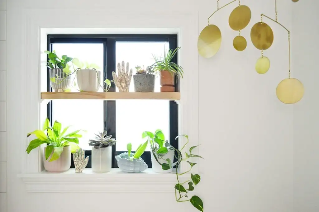 anthurium bathroom window shelf