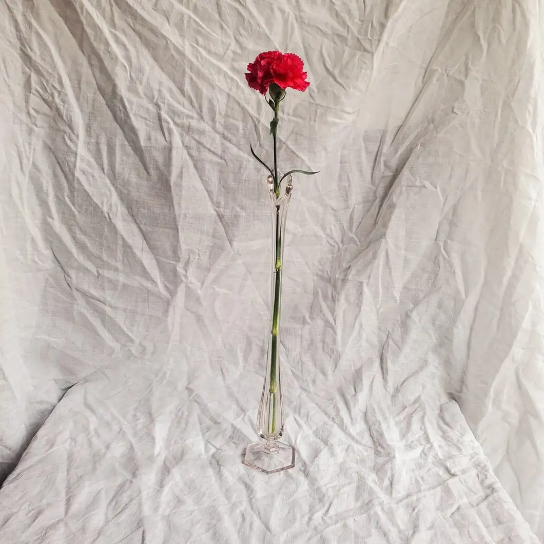anthurium single stem glass vase