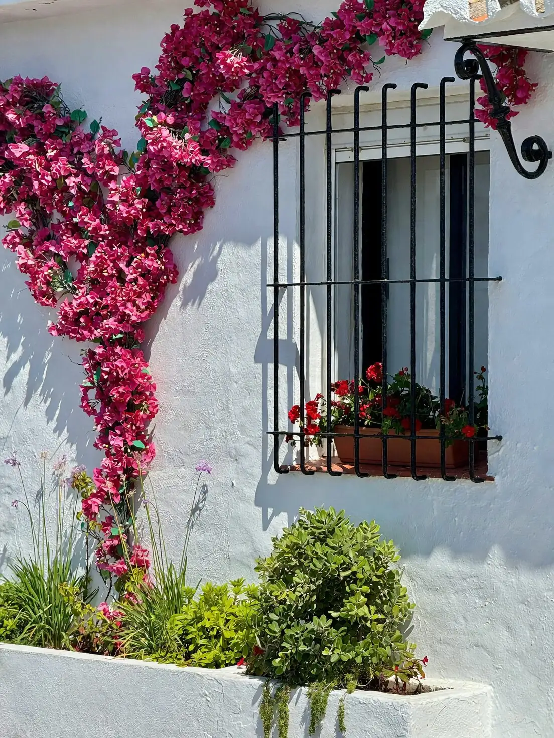 Shade Color Bombs: Designing Lush Window Boxes with Busy Lizzie, Coleus, and Begonias