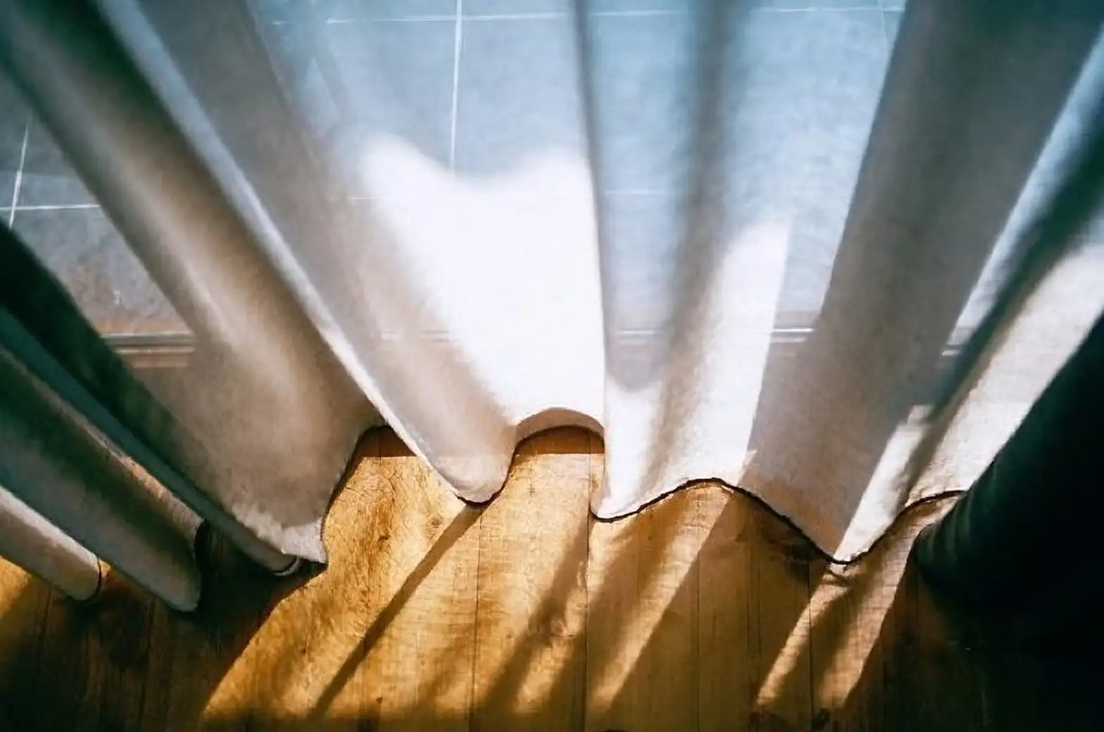 vicks plant bright windowsill sheer curtain