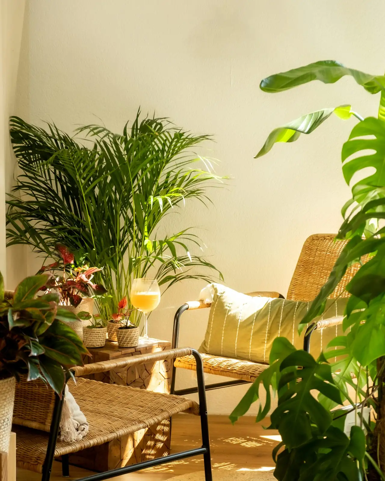 vicks plant cozy reading corner