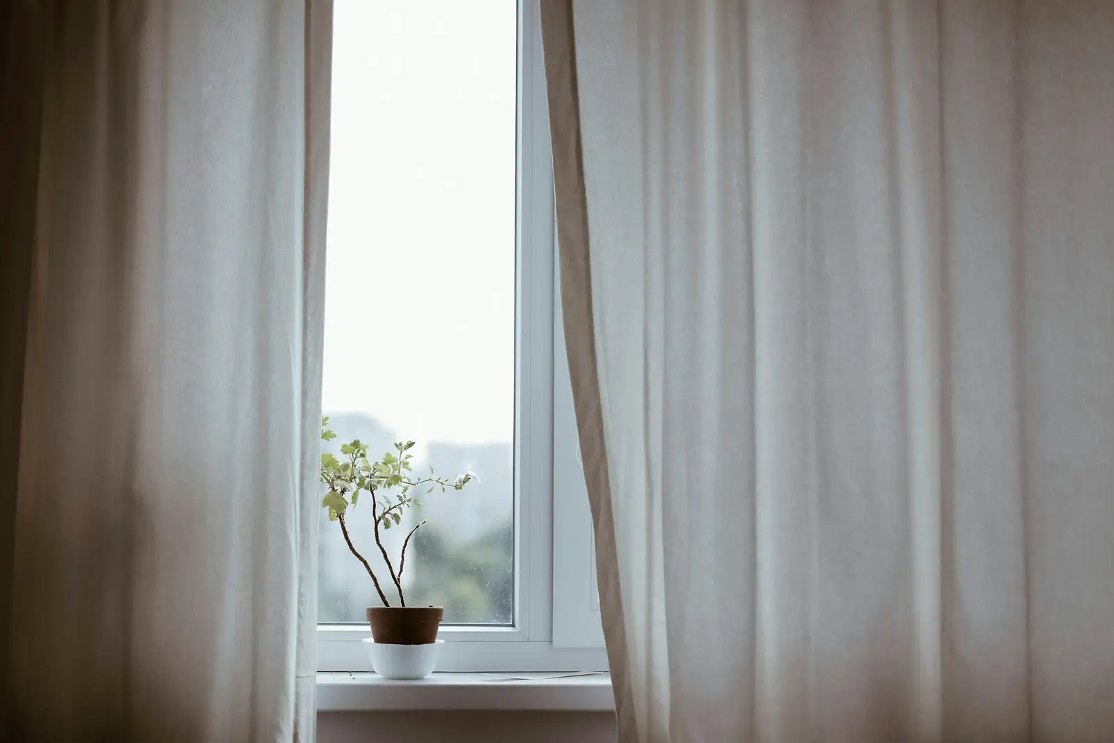 vicks plant east window sheer curtain