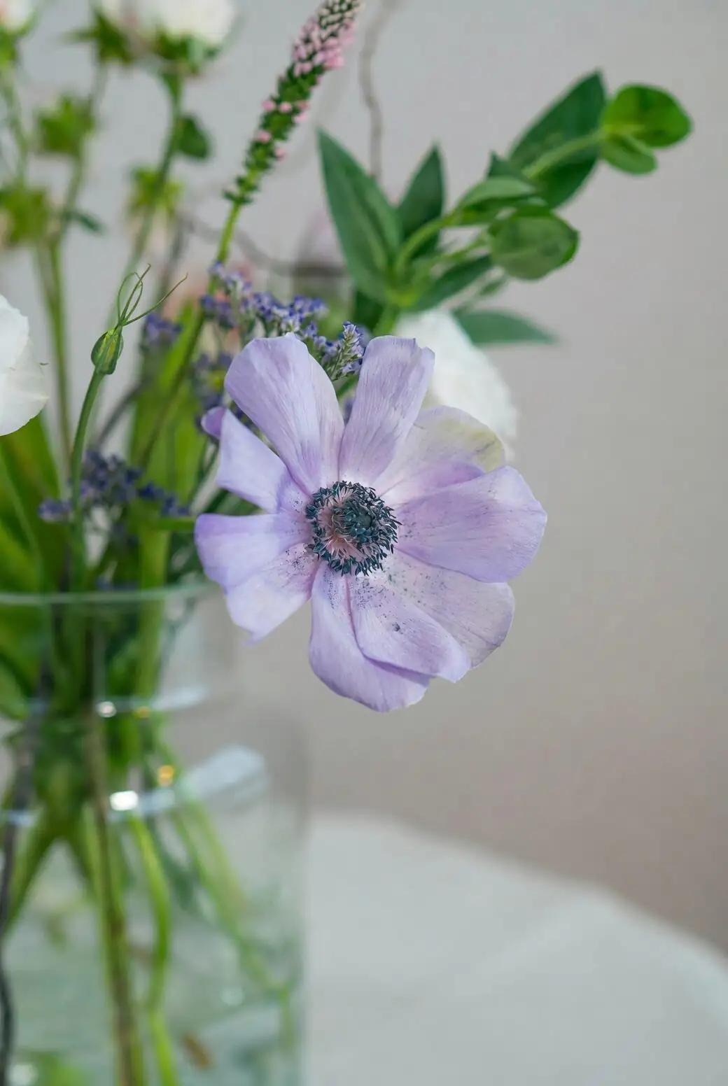 anemone coronaria bouquet in vase