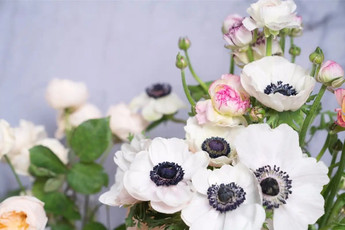 poppy anemone cut flower bouquet