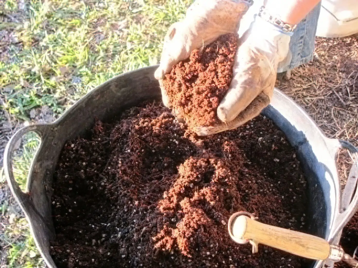 cryptanthus potting mix ingredients