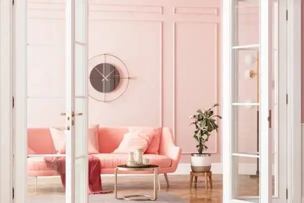 cryptanthus pink rosette living room