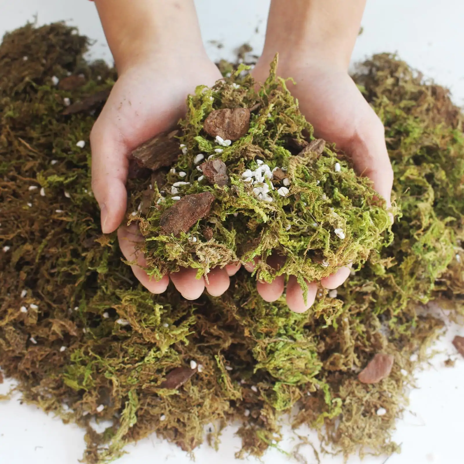 earth star orchid bark perlite mix