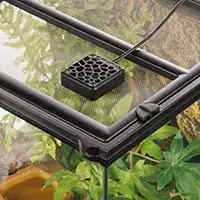 earth star USB fan terrarium