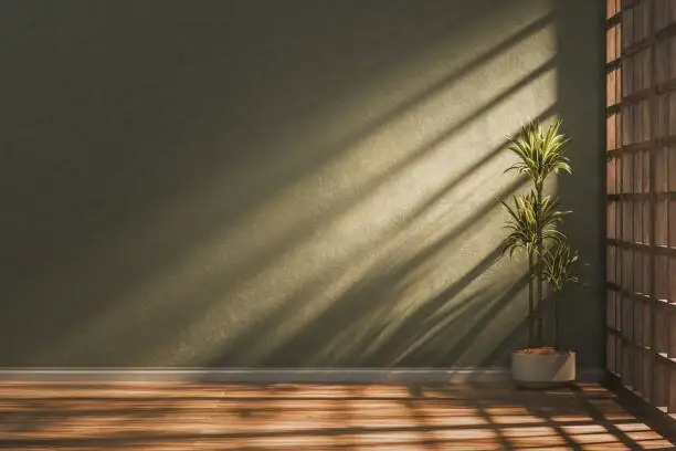 Architectural Green Without the Ouch: Styling Sago Palms Indoors (Light, Layout, and Pet-Safe Placement)