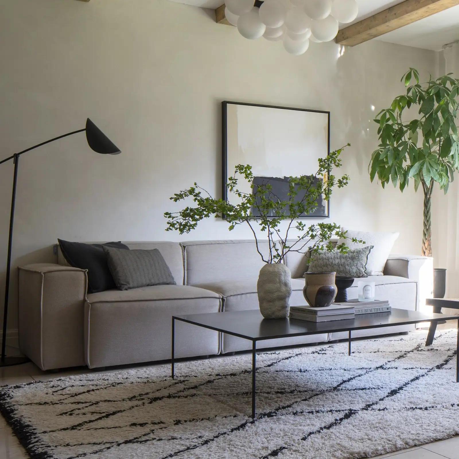 sago palm behind sofa living room