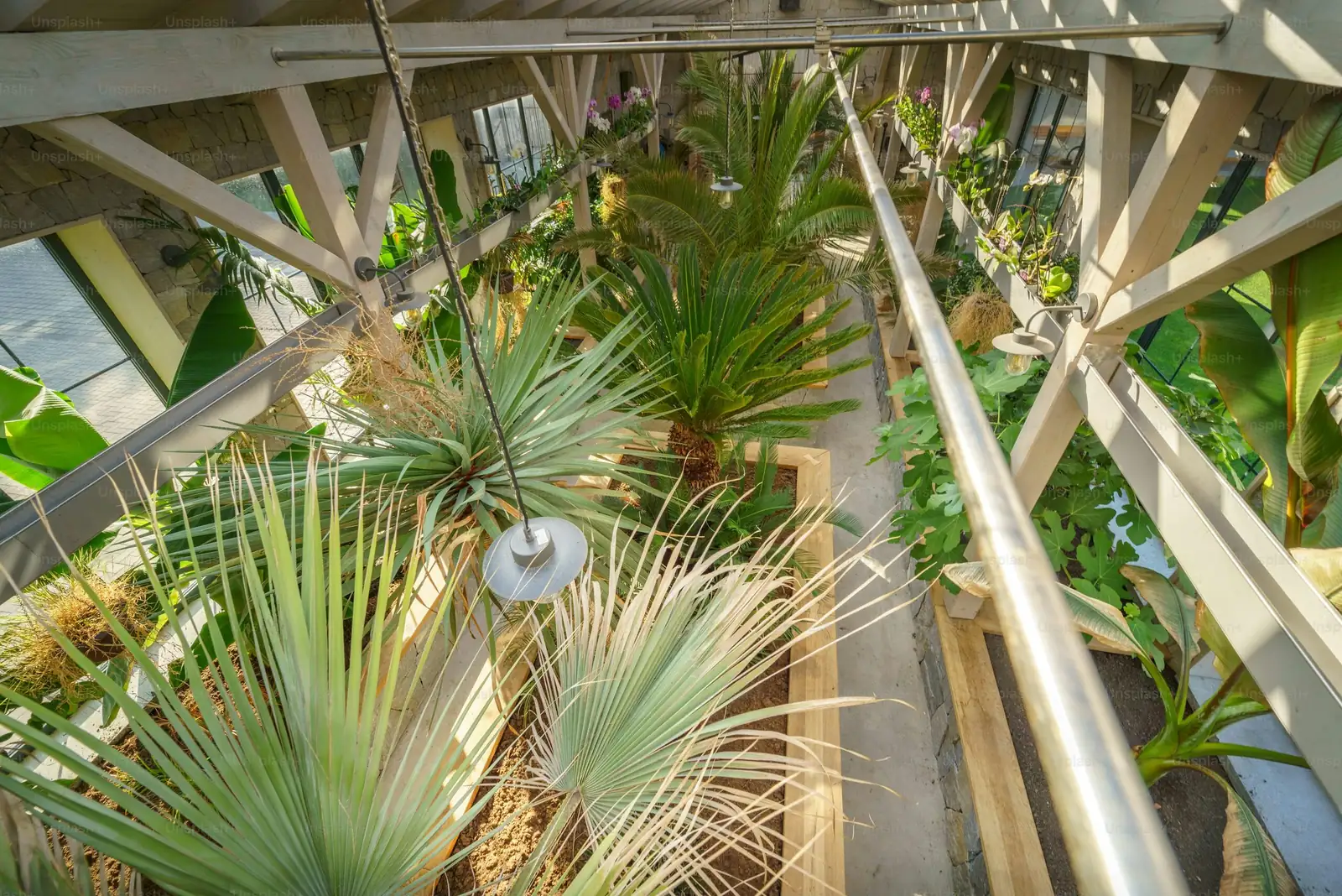 sago palm high shelf pet gate