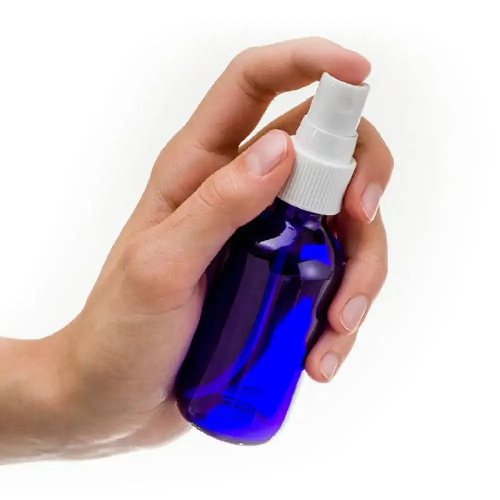 misting xerographica with spray bottle