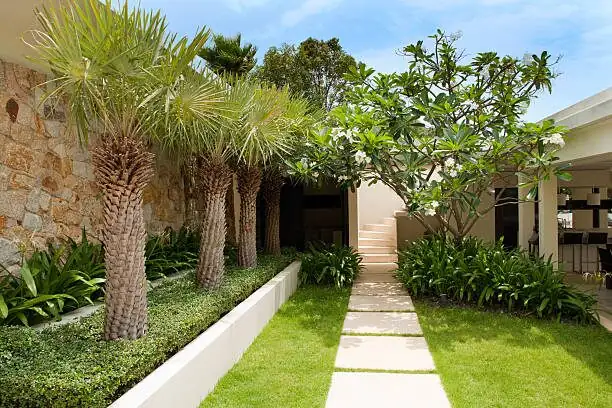 pindo palm resort entry walkway