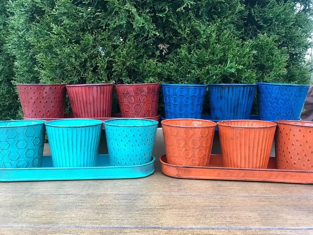 persian violet trio pot windowsill