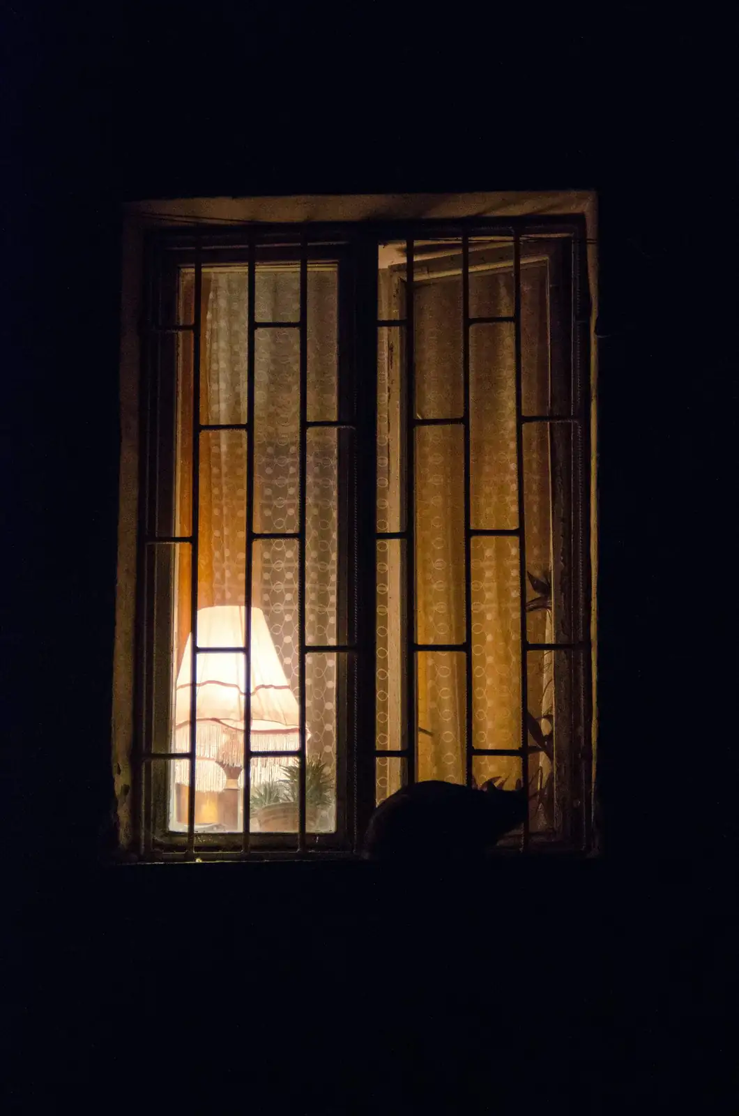 Persian violet evening open window