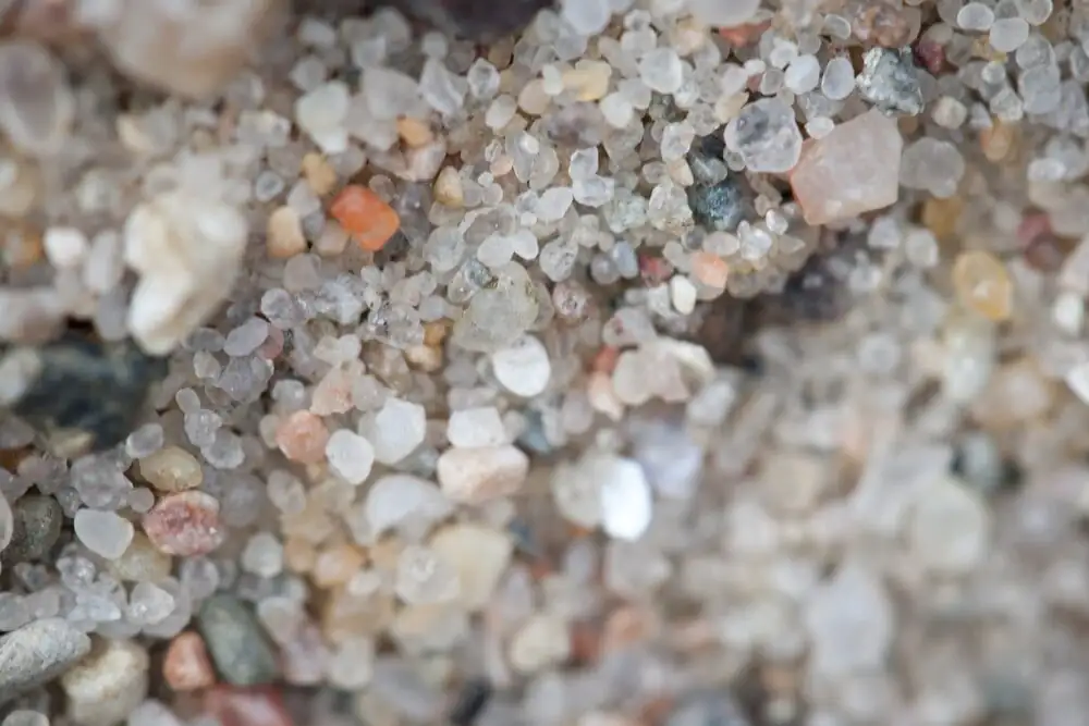 echeveria gritty mix pumice sand