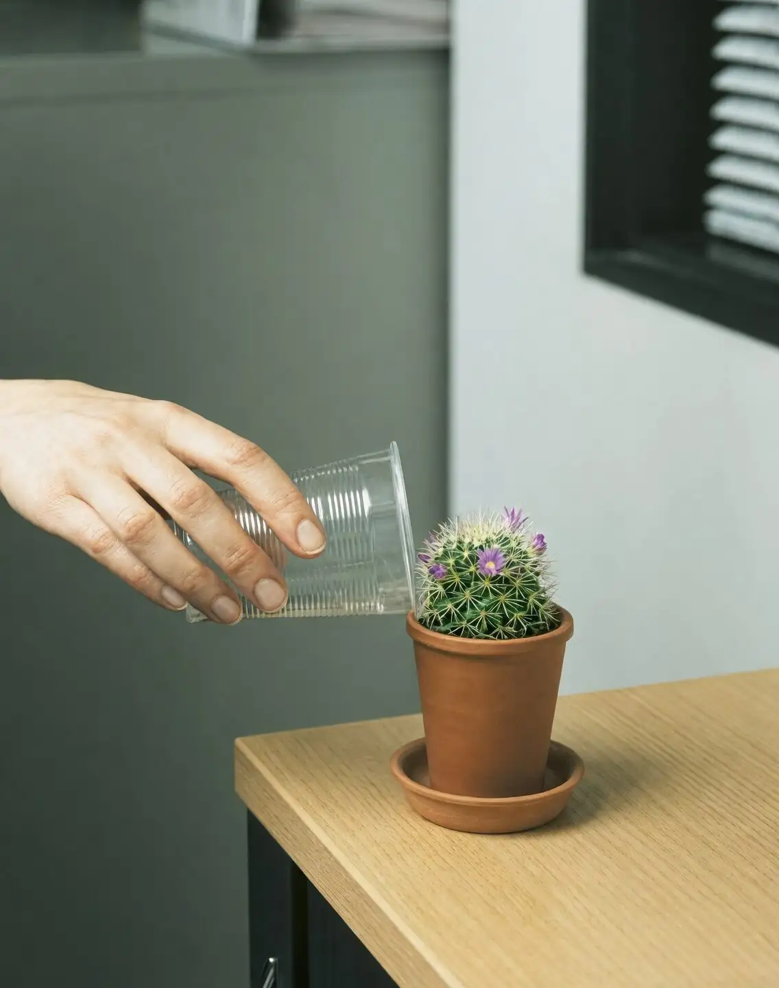 old man cactus watering squeeze bottle