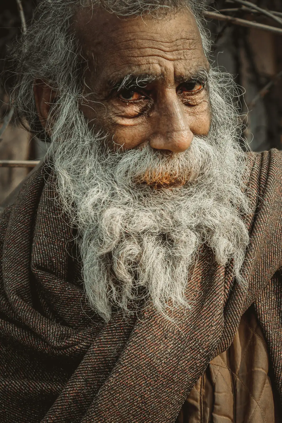old man cactus hair cleaning brush