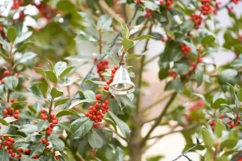holly and english ivy mantel