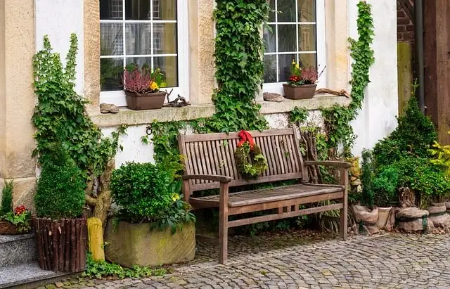 english ivy shade cloth garden summer