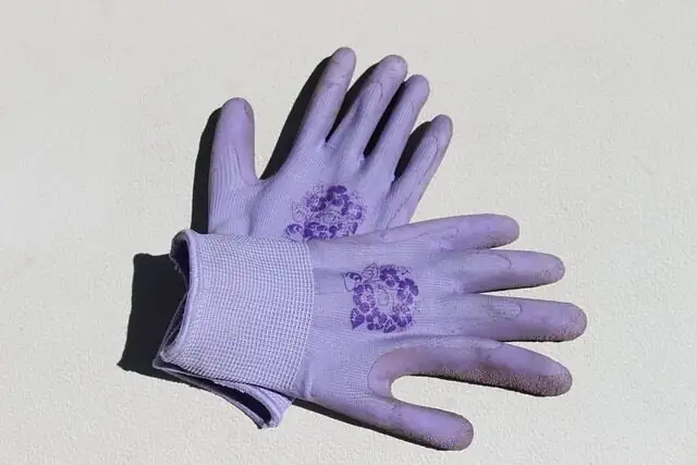 purple passion plant pruning gloves