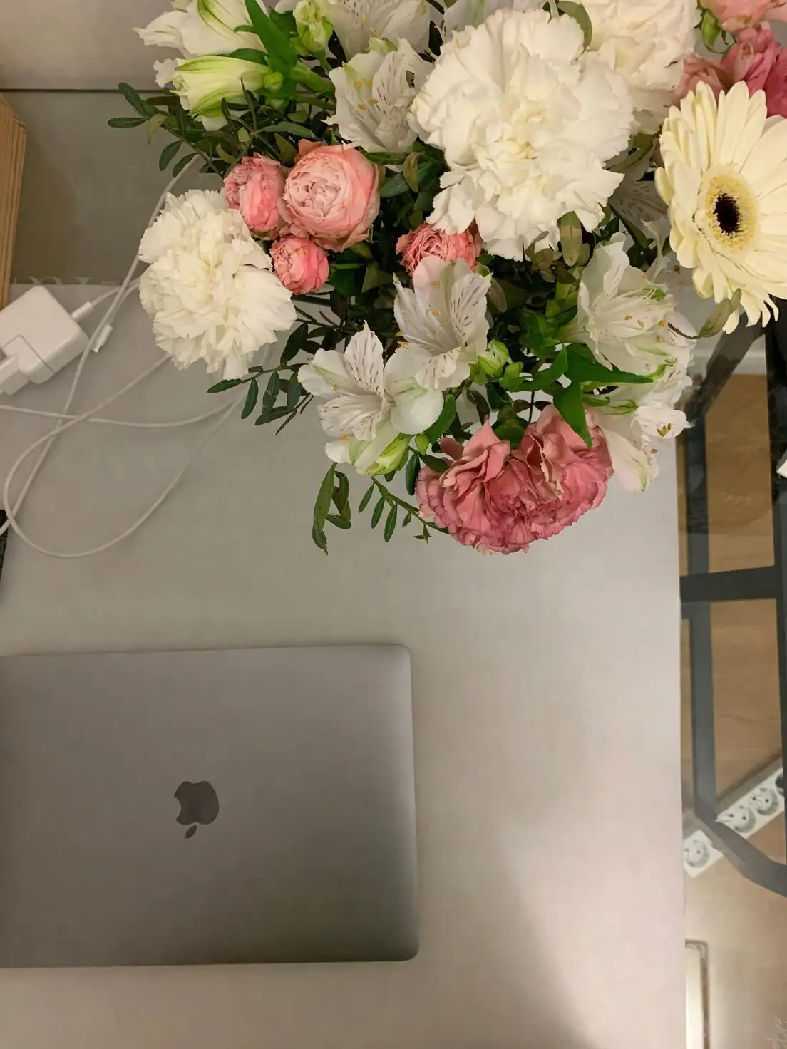 watermelon peperomia on desk near laptop