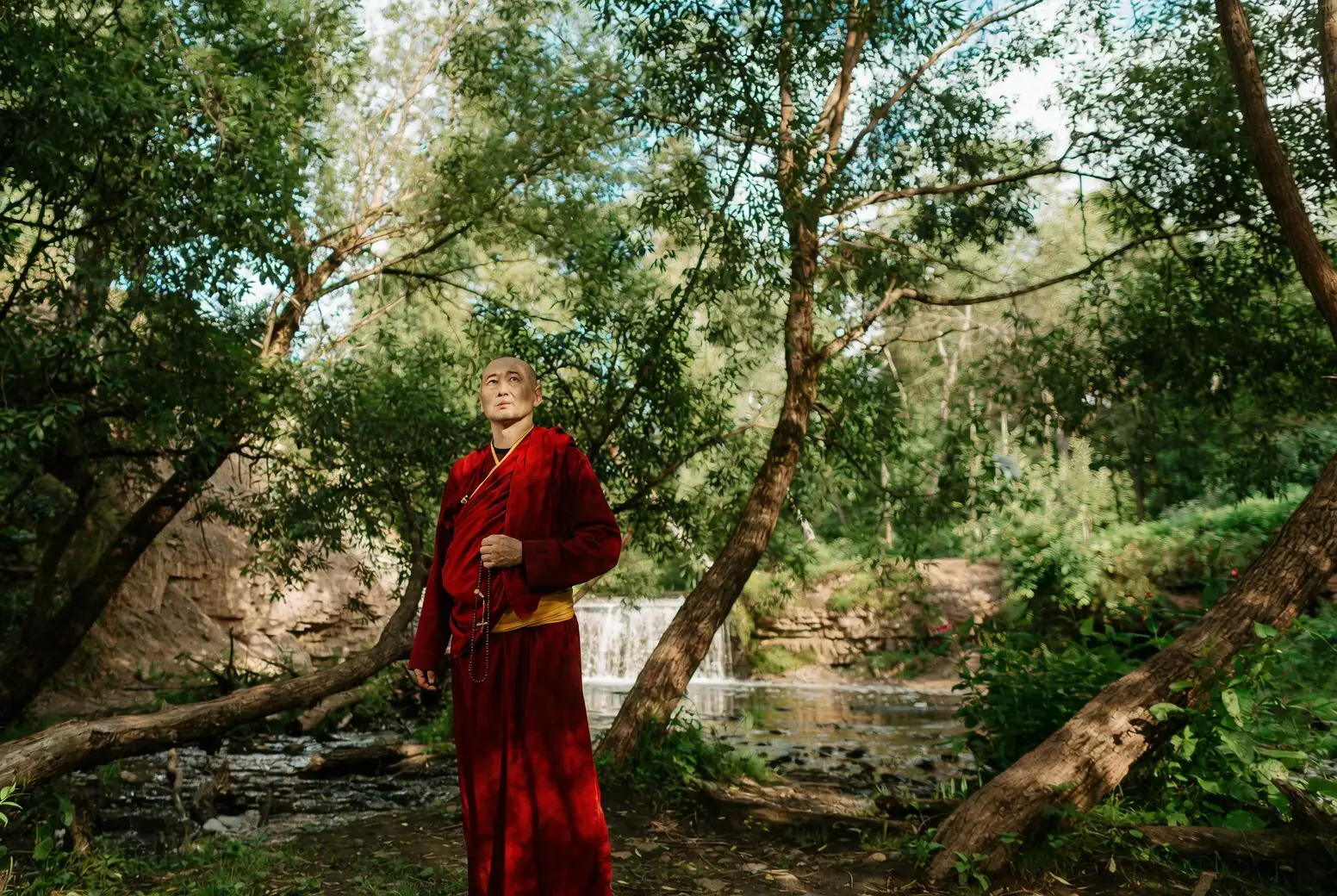 10 Quirks of Buddhist Pine: Why a ‘Yew’ That Isn’t a Yew Thrives in a Glass of Water
