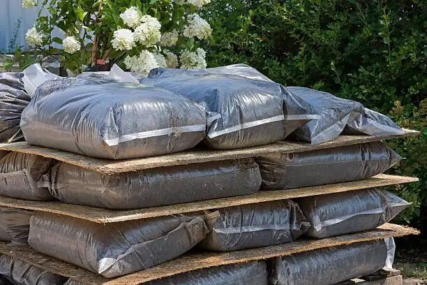 podocarpus repotting soil mix